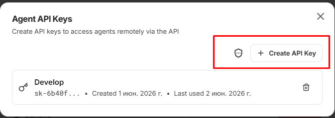 Окно Agent API Keys: кнопка + Create API Key